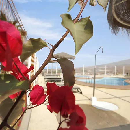 Apartman Atico De Lujo: Piscina Climatizada, Wifi Rapido, Aire Acondicionado - Es-347-14 *